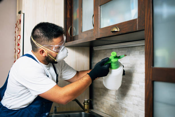 Best Pest Prevention Services  in Elmwood Place, OH