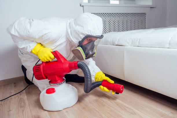 Best Local Pest Control Services  in Elmwood Place, OH