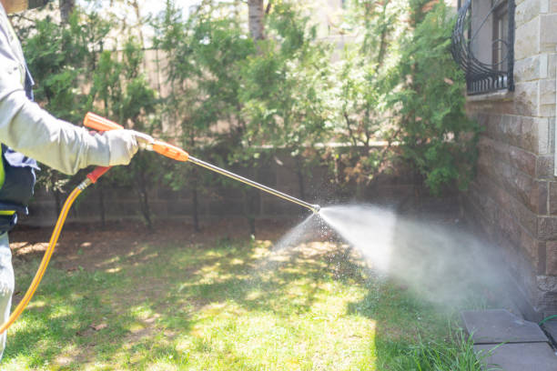 Flea Control Services in Elmwood Place, OH