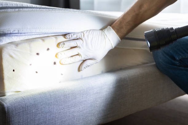 Pest Control Cost in Elmwood Place, OH